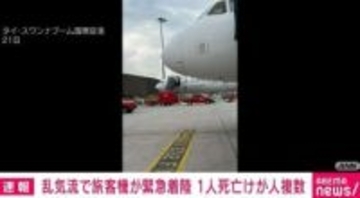 乱気流で旅客機がタイの空港に緊急着陸 1人死亡、200人超がけが シンガポール航空