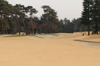 米PGAツアーの来季日程が発表　東京五輪ゴルフ期間中はオープンウィークに