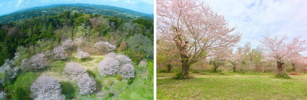 千葉県市原市に「TSURUMAI CAMP PARK」オープン　広大な自然に包まれる自由度の高いオートキャンプ場