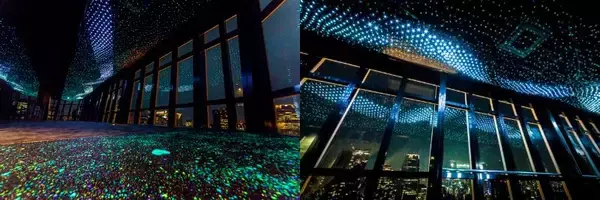 東京タワー夏の恒例イベント「天の川イルミネーション」の特別企画「七夕week」を開催　7月3日より