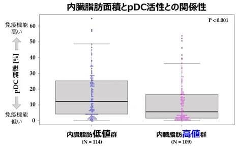 内臓脂肪が多く免疫機能が低い人は、新型コロナやインフルエンザの罹患リスクが高い　キリンと花王、共同研究を実施