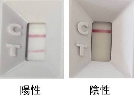 牛の妊娠検査が約20分で可能　「Alertys OnFarm 牛用妊娠検査キット」販売開始