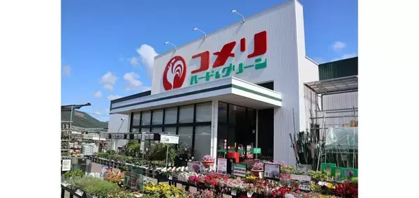 静岡県榛原郡に「コメリハード＆グリーン川根本町店」が2月18日オープン　静岡県内23店舗目