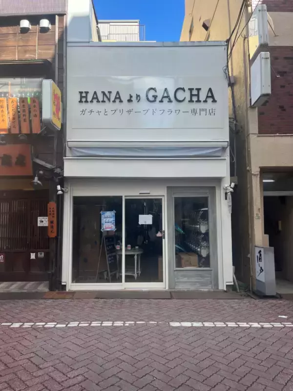 東京・北千住にカプセルトイ専門店「HANAよりGACHA」が8月17日グランドオープン　花屋へガチャを専門店を導入