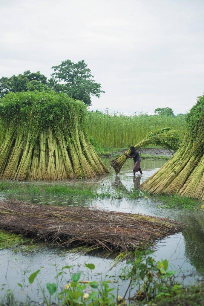 無印良品、ジュート約30％使用の「ジュート混パンツ」シリーズを新発売　紳士パンツを2種展開