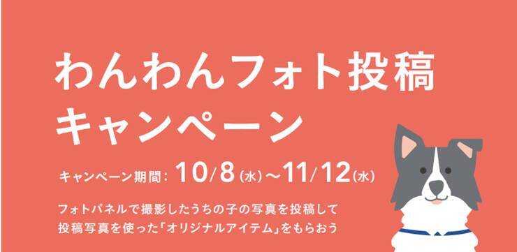カインズ、「わんわん祭り2025」を10月8日～11月12日に開催　ポイントキャンペーンも実施