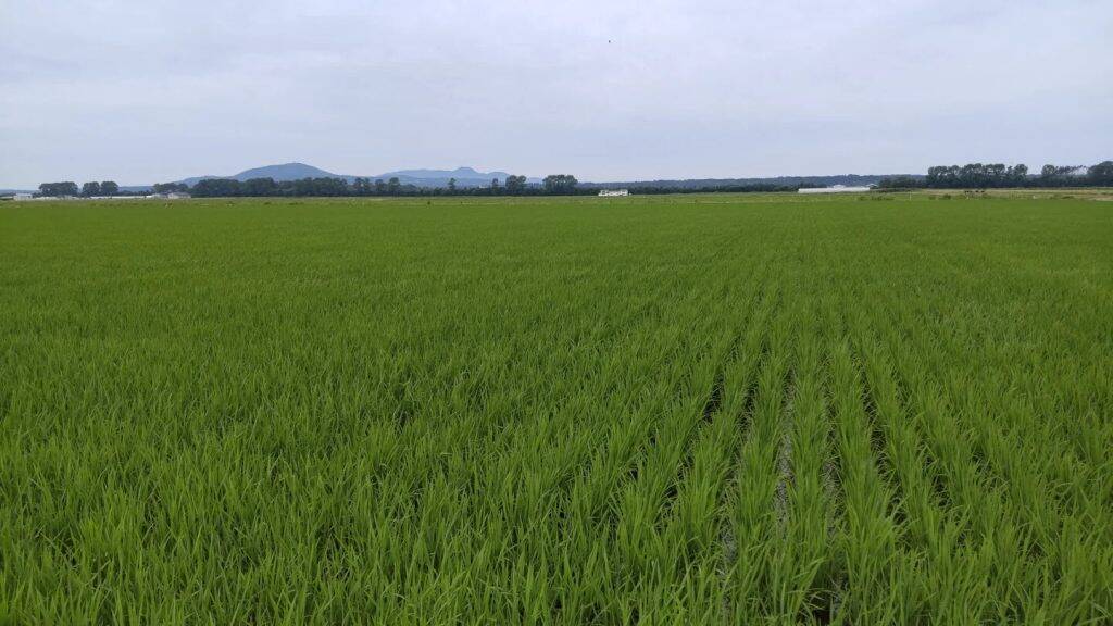 秋田県大潟村とフェイガー、脱炭素型農業の推進へ包括連携協定を締結　J-クレジット活用と資源循環モデル確立を目指す