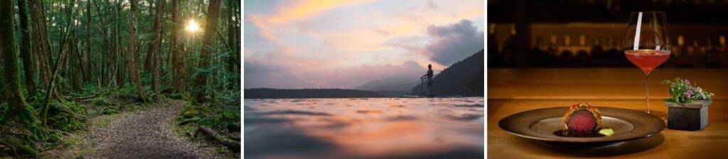 アミューズ、山梨県・富士山麓での新たな滞在・体験型観光プログラム提供へ　世界遺産を五感で感じる1泊2日