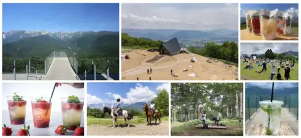 ⽩⾺岩岳マウンテンリゾート、お盆休み期間中の来場者が過去最高の17,800人を記録　コロナ禍前2019年と比較してもおよそ1.3倍に