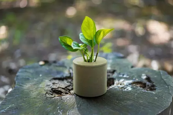 海苔やお茶、卵の殻など食品廃棄物に天然ゴムを融合した新素材「Rebbur」誕生　3種の「プランター」として発売
