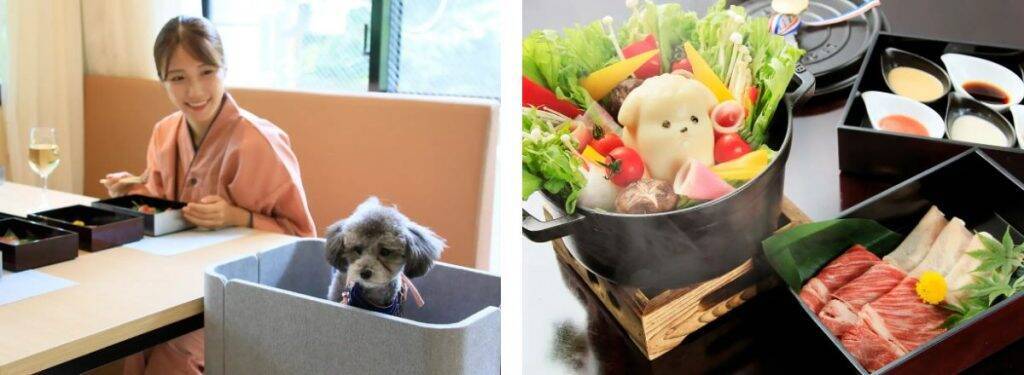 静岡県熱海市に愛犬と泊まれる温泉リゾート「ゆるり熱海with DOGS」が12月17日オープン　犬専用ビュッフェやアメニティなども用意