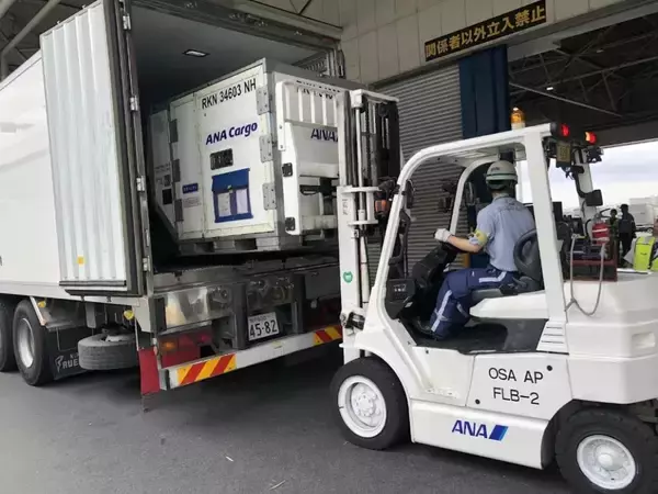 ANAとナッシュが冷凍食品の空輸効率化で新協働　昼間便活用で最大557円の送料値下げを実現