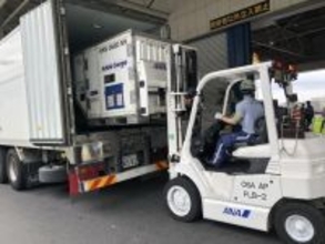 ANAとナッシュが冷凍食品の空輸効率化で新協働　昼間便活用で最大557円の送料値下げを実現