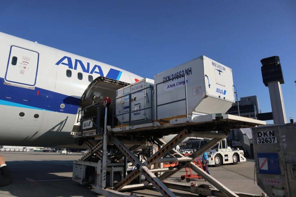 ANAとナッシュが冷凍食品の空輸効率化で新協働　昼間便活用で最大557円の送料値下げを実現