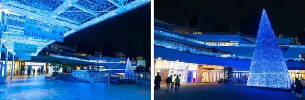 神奈川県「テラスモール湘南」、青い海・蒼い空をイメージしたイルミネーションイベントを開催　幻想的なツリーが出現