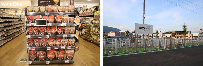 山梨県笛吹市に「カインズ 笛吹店」7月17日オープン　県内約10年ぶりの出店