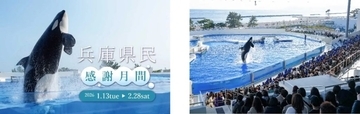 神戸須磨シーワールド、「兵庫県民感謝月間」を1月13日から開催　大人2,500円の特別料金で入館可能に