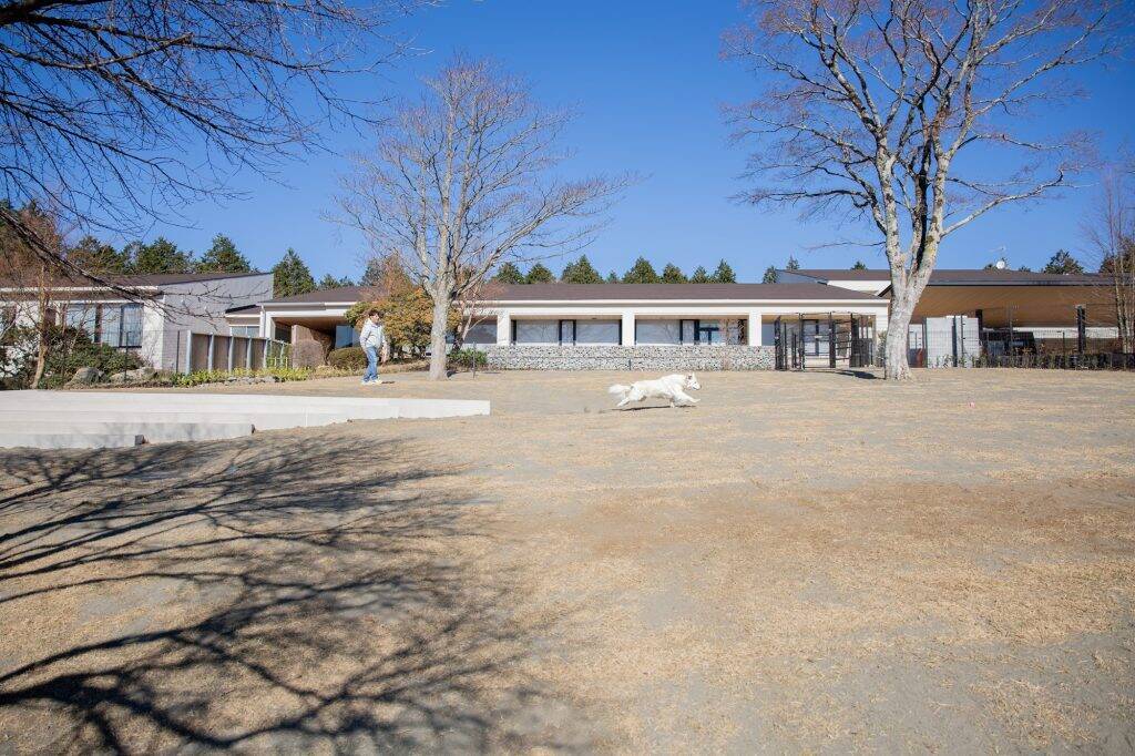 箱根・桃源台に全室温泉付きドッグフレンドリーホテル「RETONA HAKONE」が開業　プライベートドッグランを完備