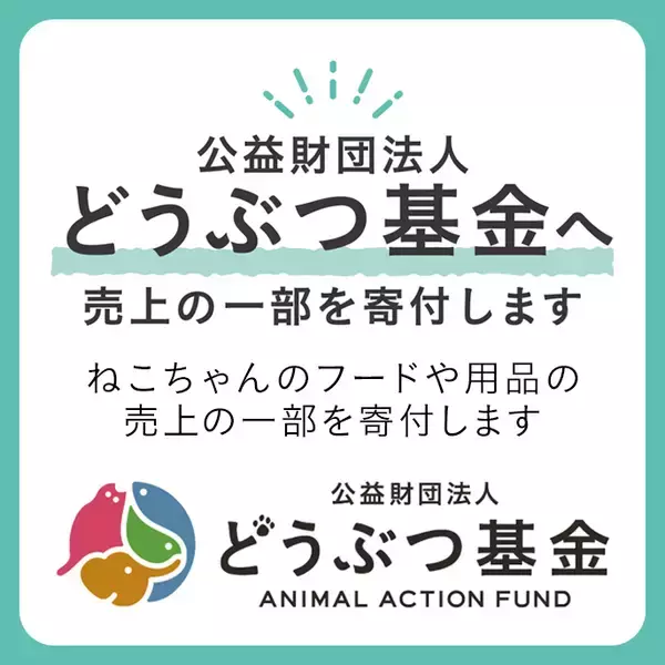 カインズ、「にゃん祭り2026」で寄付活動を1月24日から実施　物資支援のための「くみまちしっぽ応援ボックス」も設置
