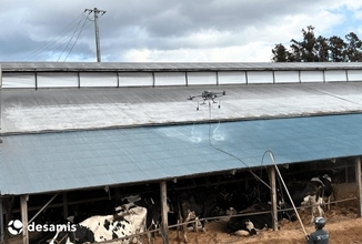 宮城県内6つの酪農家牛舎でドローン活用の「暑熱対策事業」実施　暑熱ストレス軽減と生乳生産量安定化を目指す