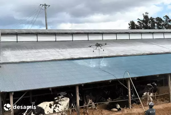 宮城県内6つの酪農家牛舎でドローン活用の「暑熱対策事業」実施　暑熱ストレス軽減と生乳生産量安定化を目指す