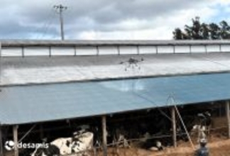 宮城県内6つの酪農家牛舎でドローン活用の「暑熱対策事業」実施　暑熱ストレス軽減と生乳生産量安定化を目指す