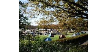 埼玉県滑川町でイベント「NEW HOLIDAY」が11月8日に開催　フードショップなど約80店が展開