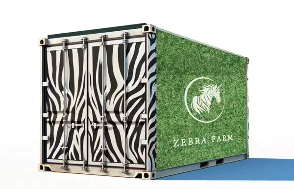 ゼブラファーム、熊本市で無農薬いちごのコンテナ生産を開始　食料自給率向上と持続可能な農業の実現に貢献