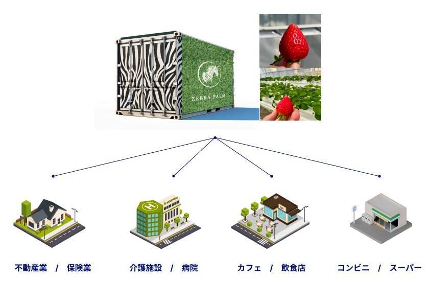 ゼブラファーム、熊本市で無農薬いちごのコンテナ生産を開始　食料自給率向上と持続可能な農業の実現に貢献