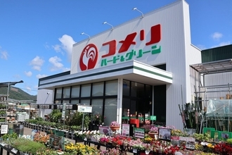 茨城県かすみがうら市に「コメリハード＆グリーン出島店」が7月25日オープン　売場拡大で地域ニーズに対応