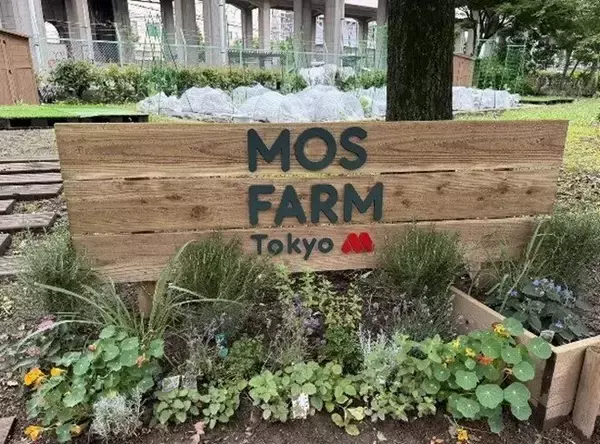 モスフードサービス、東京・板橋区に「MOS FARM Tokyo 高島平農園」を開設　都市型農園モデルを実証