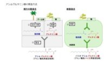味の素、パーム油を使用しないアミノ酸系バイオ界面活性剤の新製法を開発　化粧品の品質向上に貢献