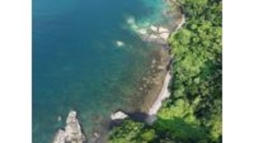 東京海上アセット、出光興産・商船三井と藻場再生によるブルーカーボン活用の実証を開始