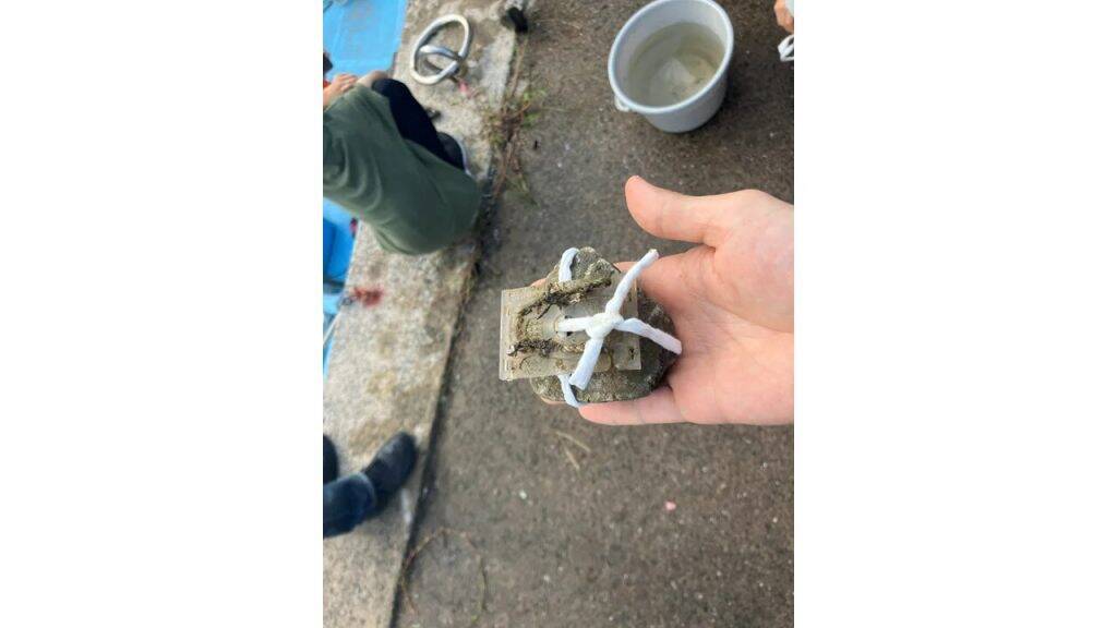 東京海上アセット、出光興産・商船三井と藻場再生によるブルーカーボン活用の実証を開始