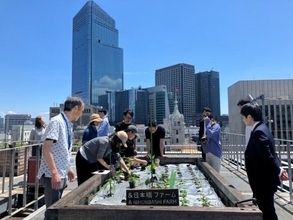 三井不動産「三井二号館」で4社協同の屋上菜園プロジェクトを本格始動　食品ロスを起点にビル内で資源循環する仕組みを構築