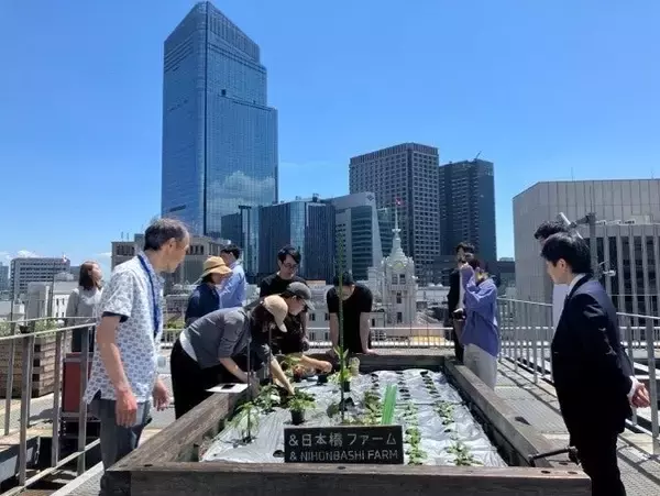 三井不動産「三井二号館」で4社協同の屋上菜園プロジェクトを本格始動　食品ロスを起点にビル内で資源循環する仕組みを構築