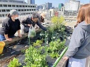 三井不動産「三井二号館」で4社協同の屋上菜園プロジェクトを本格始動　食品ロスを起点にビル内で資源循環する仕組みを構築
