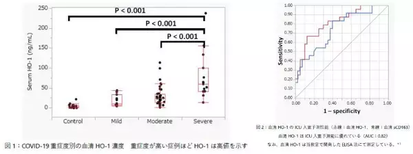 横浜市大と神奈川県立がんセンター、新型コロナ感染症の重症度と生命予後を予測する新規血清バイオマーカーを発見