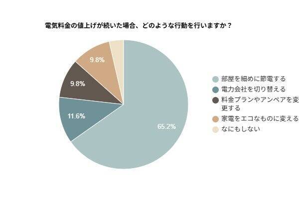 電気料金の値上げ、99.1％が「不安」と回答　値上げが続いた場合の対策は「こまめな節電」がトップ