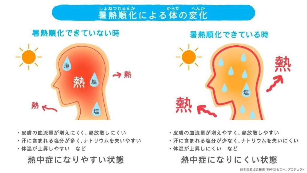「熱中症ゼロへ」プロジェクト、梅雨明け後の熱中症リスクに備える「暑熱順化前線」を公開