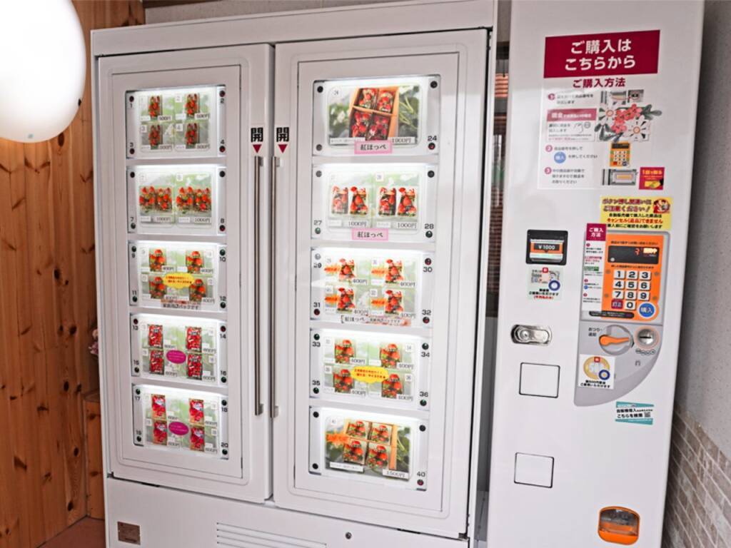 山口県山口市に「いちご自動販売機」が登場　24時間稼働で適切な温度管理によるロス削減へ