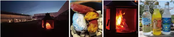 ホテルマリノアリゾート福岡、夏を満喫する体験イベント多数開催　貸し切り焚き火体験・サンセットクルーズなど