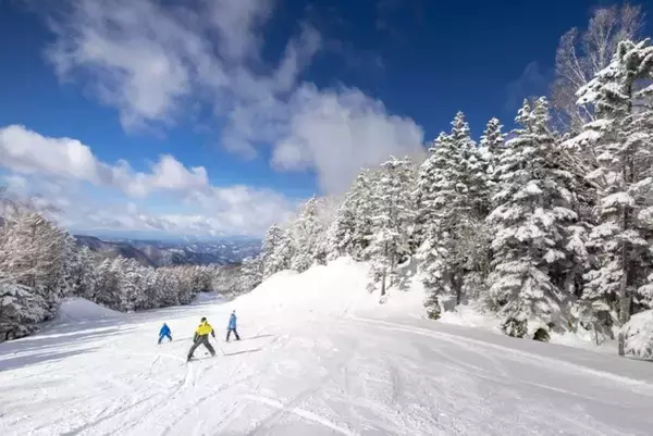 群馬県「丸沼高原スキー場」、リフト1日券付きスキープラン登場　奥日光のリゾートホテル「休暇村日光湯元」より発売