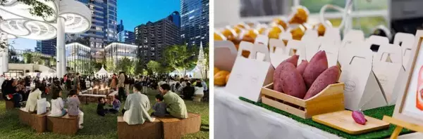 麻布台ヒルズで秋の味覚イベント「やきいも広場」を10月31日から開催　やきいもや栗スイーツが集結