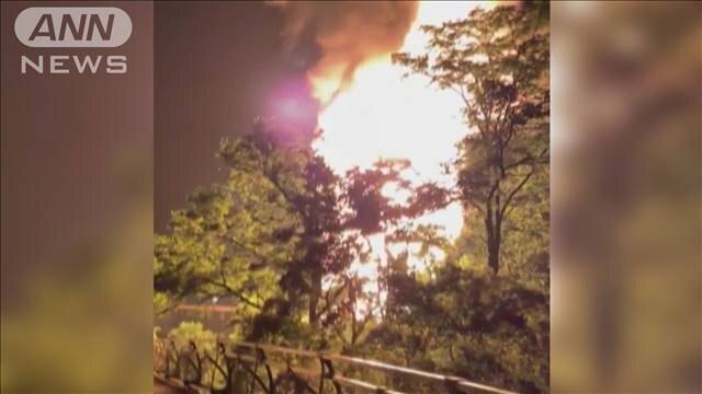 ʂ̖q΍Ђ2l@n5ߊl  [Ђ悱]->摜>1 