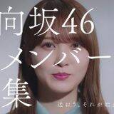 加藤史帆、小坂菜緒、齊藤京子が出演する日向坂46新メンバーオーディションの新CM公開