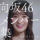 「加藤史帆、小坂菜緒、齊藤京子が出演する日向坂46新メンバーオーディションの新CM公開」の画像13