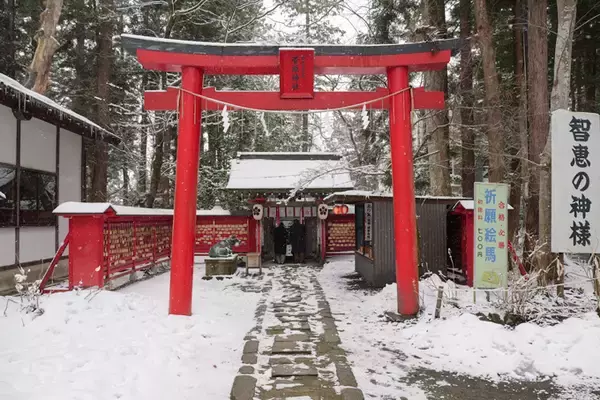 「潜在能力を強化する！？　2体1組の強運お守りを授ける、伊佐須美神社にてランパンプスが合格祈願！」の画像