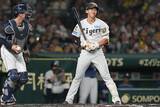 「阪神ドラ1・立石、打率.409で交流戦突入も…八木裕氏「交流戦でプロの厳しさ」」の画像1