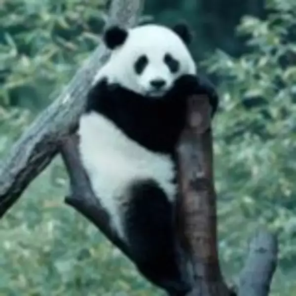 「『ほどなく、お別れです』浜辺美波×目黒蓮、愛する人との“お別れ”を描いたヒューマンドラマ」の画像